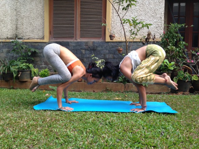 arasuuu's tweet card. Good morning to every creature on earth! Let’s begin Sunday morning with some poses and say gratitude to Mother Nature! Today’s lessons are: Eka Pada Rajakapotasana (King Pigeon Pose), …