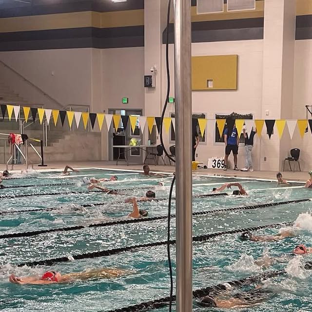 FleetSwimming's tweet card. CFSC (@fleet.swimming) • Instagram photo