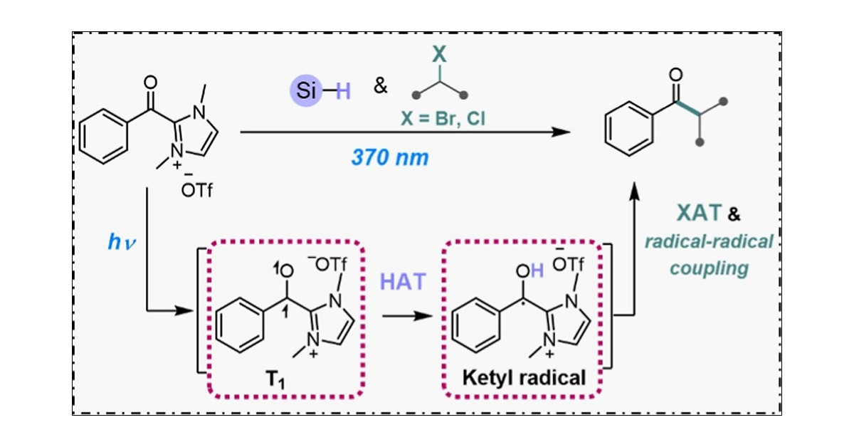 SCORE_Lab_Lyon's tweet card. Acyl azolium salts have been recently described as good HAT mediators in their excited state-similarly to diaryl ketones-and good acylating reagents, with the beneficial property of enabling incorp...