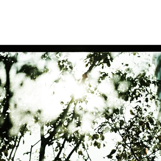 fukurinchan's tweet card. Sudi (@sudiphoto) • Instagram photo