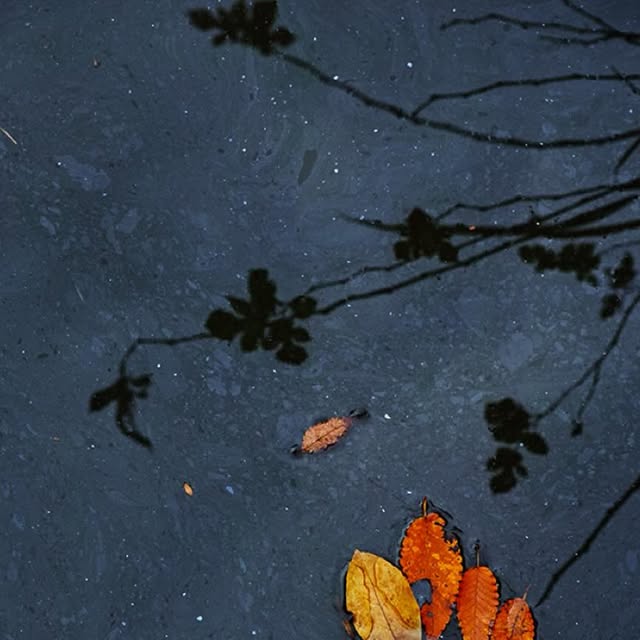 fukurinchan's tweet card. Sudi (@sudiphoto) • Instagram photo