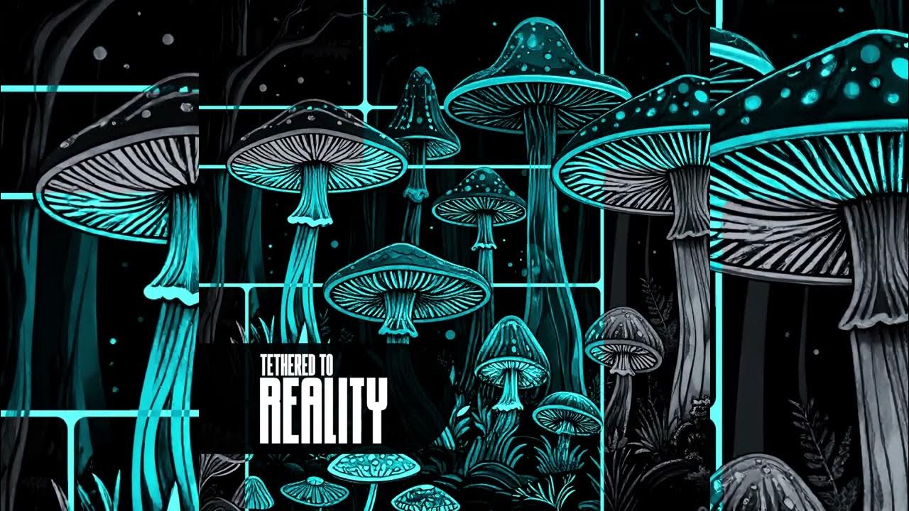 Hexia1v9's tweet card. TETHERED TO REALITY | Ft Setrow