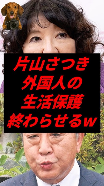 msswms2's tweet card. 片山さつき、外国人の生活保護終わらせるw