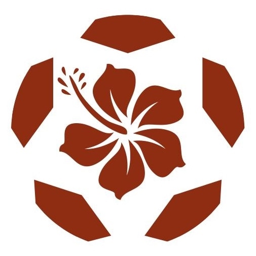 ryukyu_soccer's tweet card. 明治安田J3リーグ 第38節（vs.ヴァンラーレ八戸戦）に臨むFC琉球のメンバーが発表されました。【スターティングメンバー】GK 16 佐藤 久弥DF 15 荒木 遼太DF 3 菊地 脩太DF 14 鈴木 順也DF 4 藤春 廣輝MF 23 曽田 一騎MF 11 石浦 大雅MF 18 平松 昇MF 7 茂木 駿佑MF