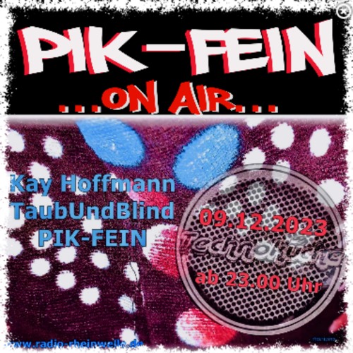 PIK_FEIN_TECHNO's tweet card. PIK-FEIN @ TECHNOKÜCHE | ukw 92.5 FM RADIO-RHEINWELLE .de - WIESBADEN...