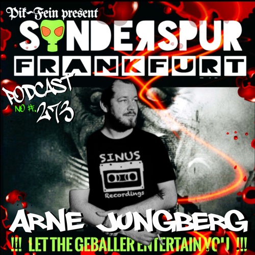PIK_FEIN_TECHNO's tweet card. ARNE JUNGBERG @ SONDERSPUR | POD. NO# 273 - FRANKFURT | 01|04|2024