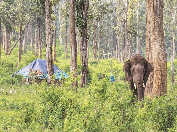 TeestaSetalvad's tweet card. Forest bureaucracy to get more policing powers, including higher immunity to use firearms and override Forest Rights Act