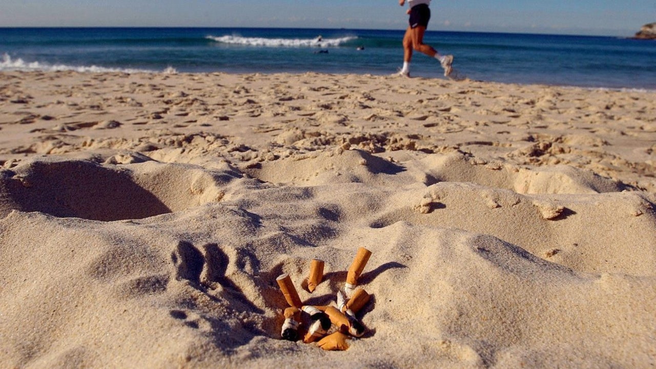 ICO_oncologia's tweet card. Mientras tanto La Sociedad de Epidemiología quiere ir más allá y ya ha pedido al Gobierno que lo prohíba en todo el litoral español.