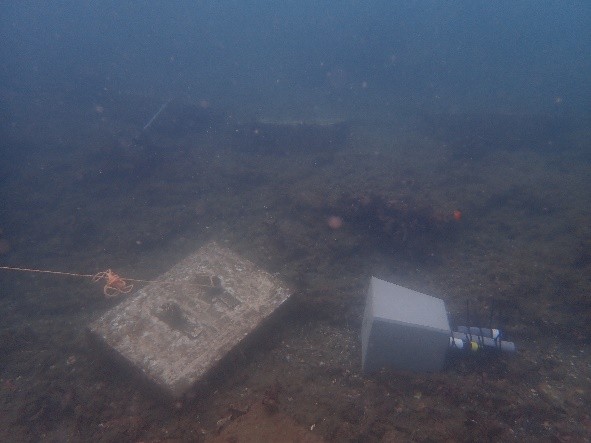 t_tyama's tweet card. ENEOSリニューアブル・エナジー株式会社ENEOSリニューアブル・エナジー株式会社（本社：東京都港区、代表取締役社長：小野田泰、以下「ERE」）は、2023年からセルロース等のポリマー溶液を活用した