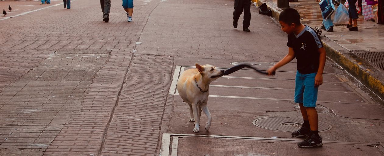 jbrodriguezio's tweet card. hosting options and a bit of tech nostalgia