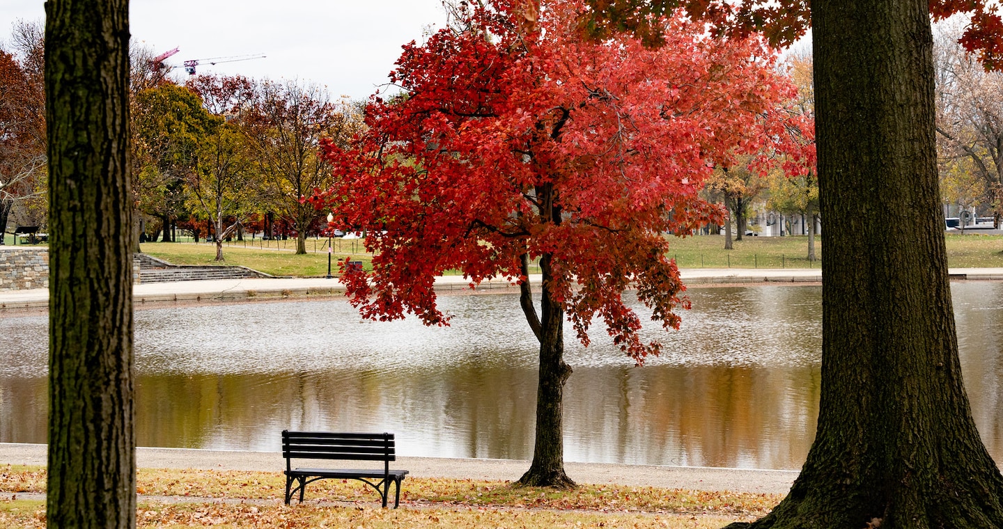 WashingtonNews9's tweet card. Sun makes a return for the next few days. Another rain chance Tuesday.
