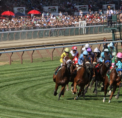 nswdailytips's tweet card. Second run back. First-up after eight months 9th of 12 at Eagle Farm 0 – 70 on October 18 over 1000m, 4 len behind Bossed Up carrying 56.5kg at $4.80. Previously second-up scored a big 5 len win at...