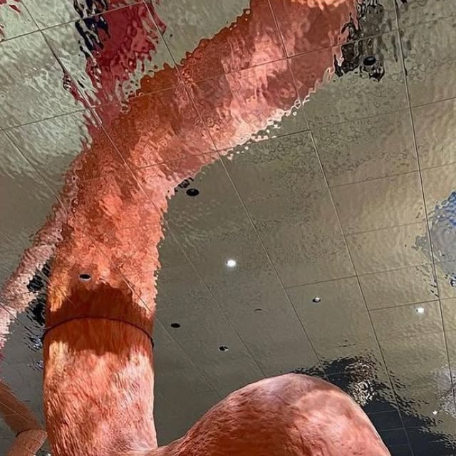 GMcCarthy's tweet card. Greg McCarthy (@gregmccarthy24) • Instagram photo