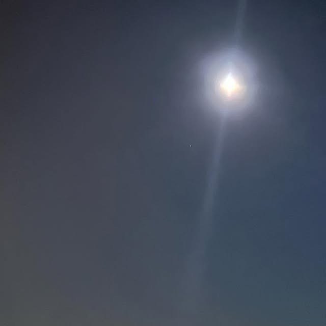 GMcCarthy's tweet card. Greg McCarthy (@gregmccarthy24) • Instagram photo