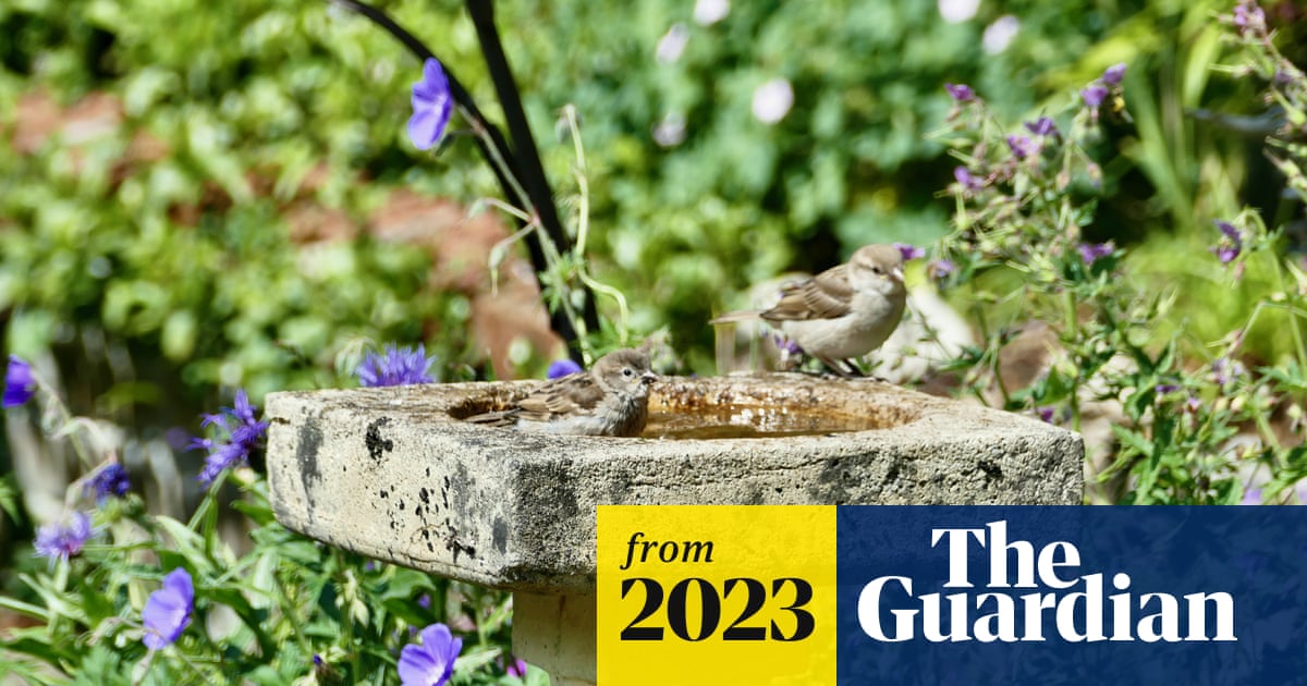guardiannews's tweet card. Scientists urge people to stop ‘spraying gardens with poison’ and adopt wildlife-friendly practices