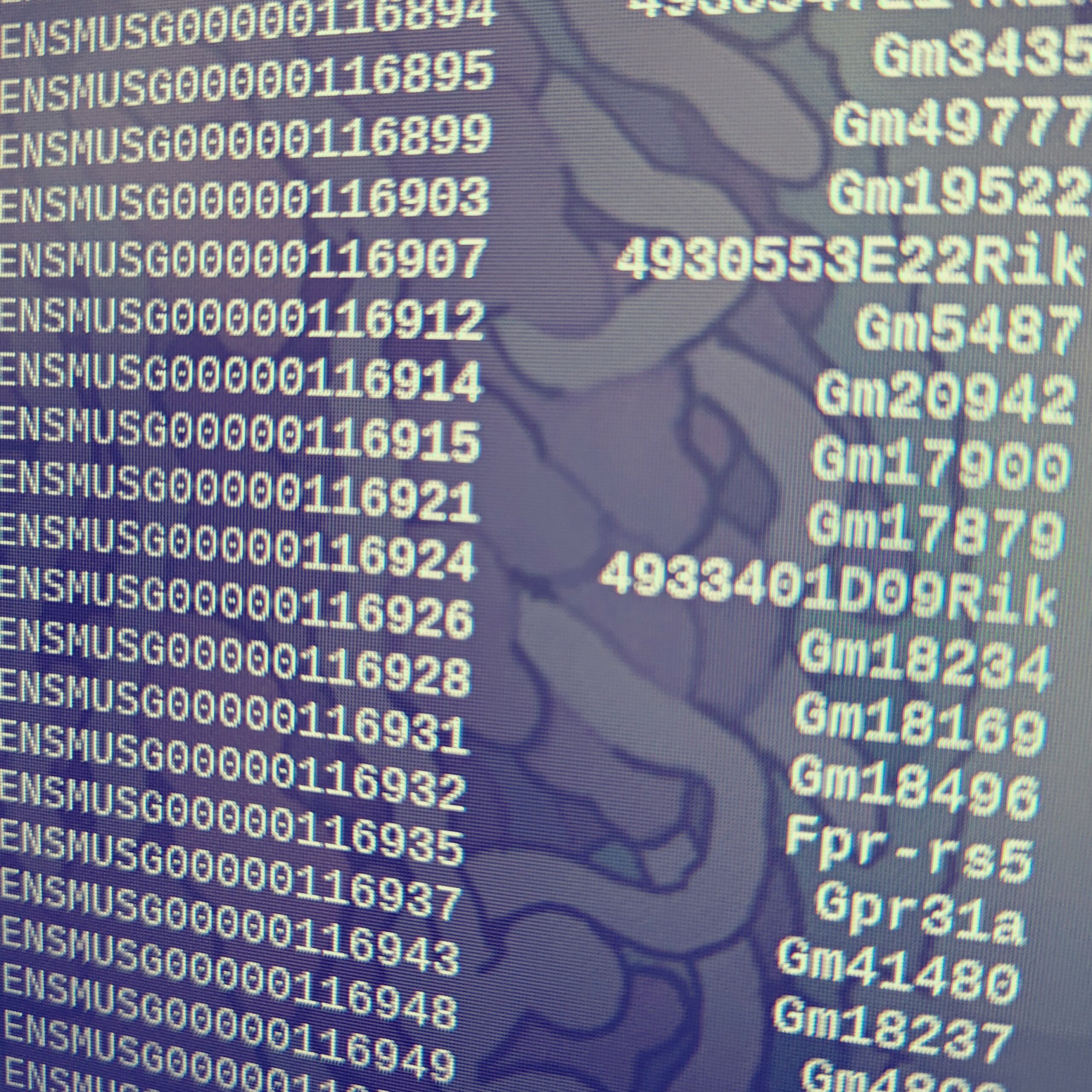 BioinfoFr's tweet card. Lorsque l'on traite des don­nées de RNA-seq, il arrive très sou­vent de se retrou­ver avec une matrice de quan­ti­fi­ca­tion de l'expression des gènes (un tableau avec le nombre de reads par gène)...