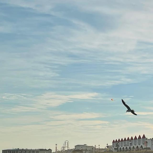 PChern's tweet card. Paul Chernin (@pchernin) • Instagram photo