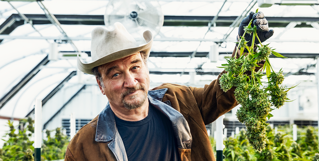 bpaynter's tweet card. The iconic comedian and sitcom dad wants to save all of us—one dank, wondrous, sticky-icky trip at a time.