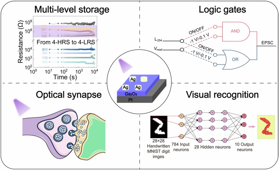 LightSciAppl's tweet card. Light: Science & Applications - Multi-functional integration! The memristor integrates four functions of multi-level storage, logic gates, UV sensing, and neuromorphic computing in one device.