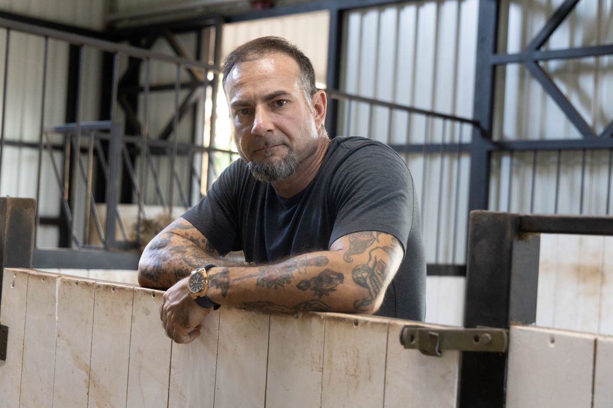 tricktrades1's tweet card. Freedom - Trick Trades