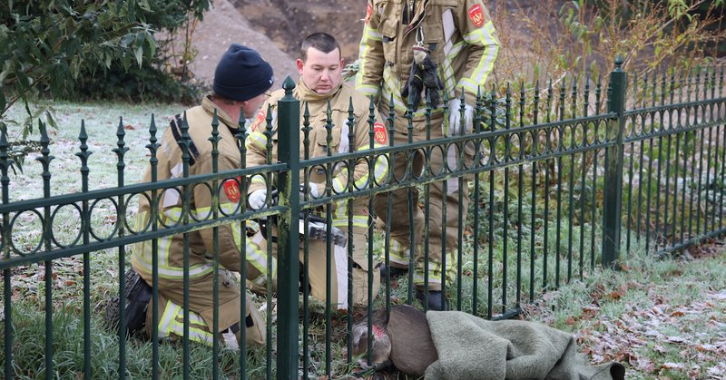 Brandweer bevrijdt ree uit hek