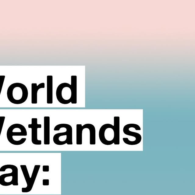 thecommitment_x's tweet card. VoteClimateUK (@voteclimate_uk) • Instagram photos and videos