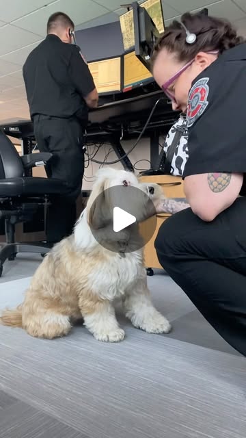 joel_mcd's tweet card. Lethbridge Fire and Emergency Services (@lethbridgefireandemergency) • Instagram reel