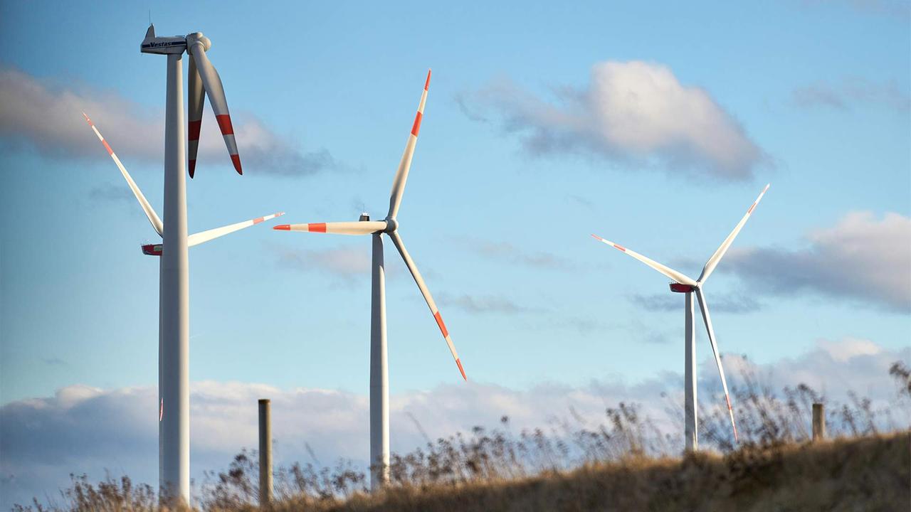 tagesschau's tweet card. Klimaziele werden aufgeweicht und viele Konzerne setzen eher wieder auf schnelle Profite: Unter US-Präsident Trump haben Nachhaltigkeit und Umweltschutz an Bedeutung verloren. Das zeigt sich auch im...