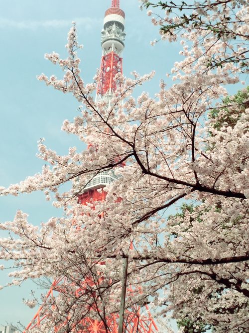 yoyoyow2022's tweet card. 何気によく行く機会がある浜松町、大門周辺で、おひとりさまが気兼ねなく過ごせるカフェやspot、探してみましたので、ここに記載してみます！ ★★★「本ページはプロモーションが含まれています」★★★ とにかく、ゆったりできる『ル・パン・コティデ