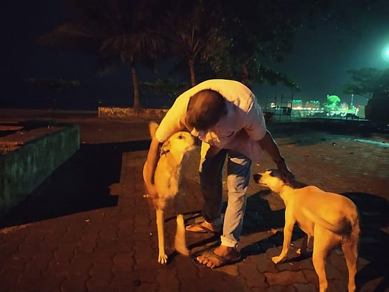 saurabhchatter's tweet card. KOCHI: In the dead of the night, a young man strides down the empty thoroughfare with a bucket calling out to man’s best friend seen roaming around in groups. V