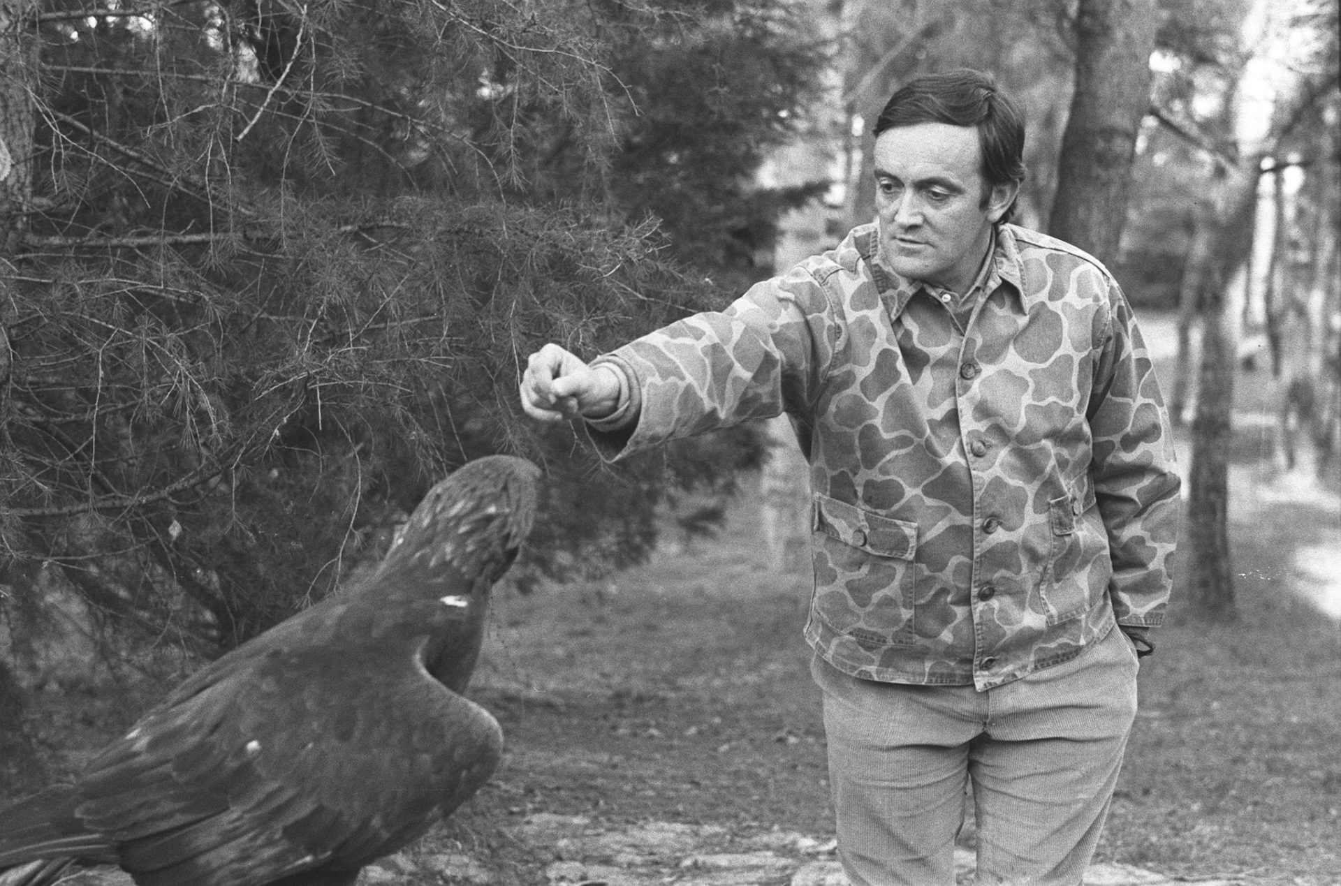 Contraejemplo's tweet card. El programa de televisión "El hombre y la Tierra", se estrenó un 4 de marzo de 1974 y este 2024 cumple medio siglo