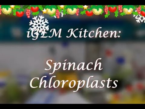 igemmarburg's tweet card. Our special Christmas Dinner cooking tutorial