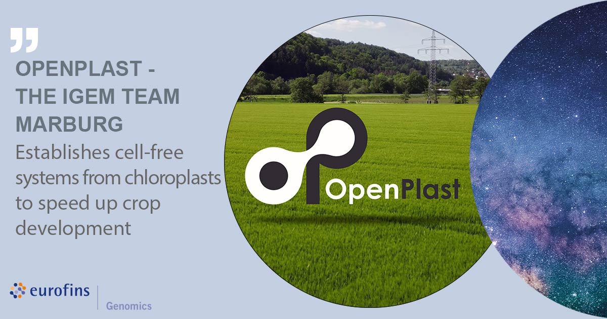 igemmarburg's tweet card. How can chloroplasts be used to establish a process to produce cell-free systems? How will this impact crop research? The @igemmarburg team aims to shape a green future! Read more at https://the-dn...