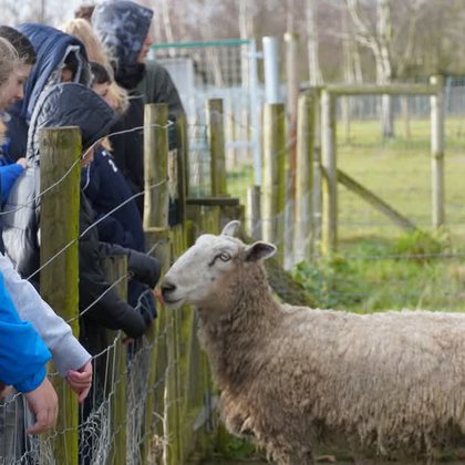 Tweet card summary image