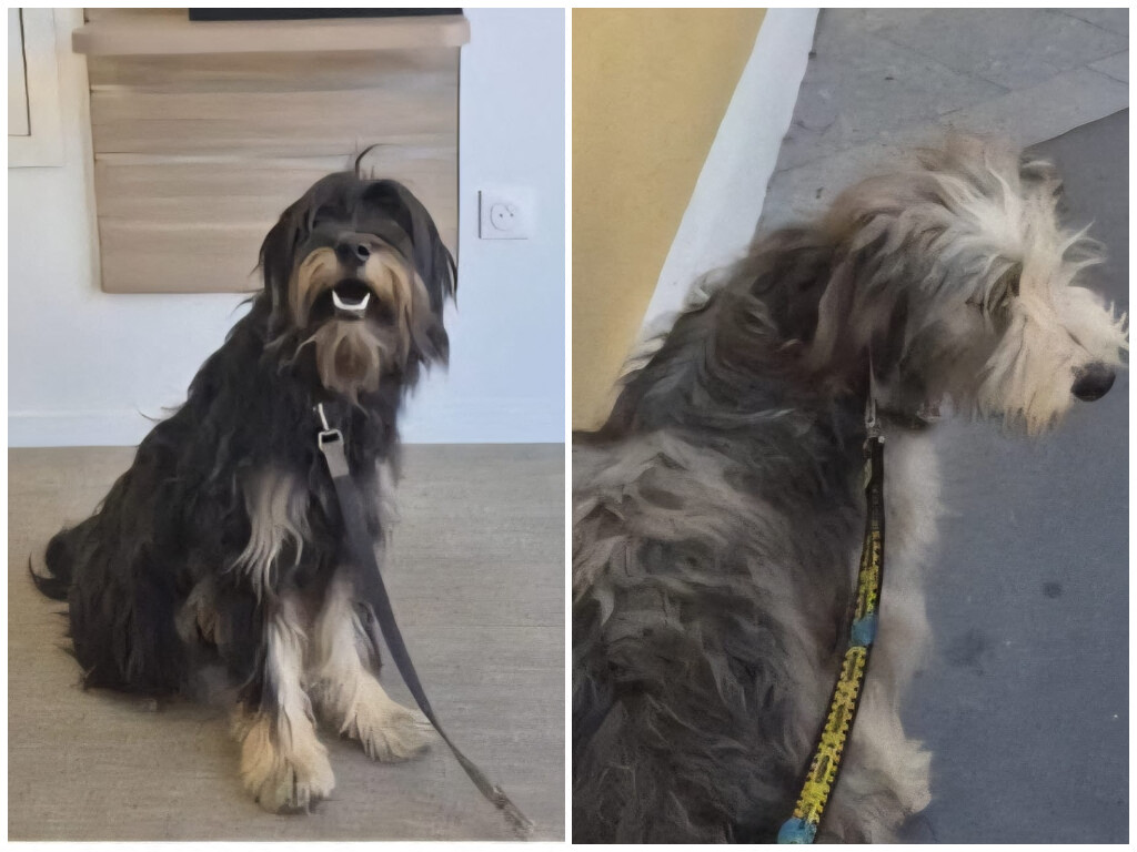 20320Vero's tweet card. Dans la nuit du dimanche au lundi, les deux chiens d'Aurélie ont disparu de leur remorque sur l'autoroute entre Arras et Toul. Elle a besoin de votre aide pour les retrouver.