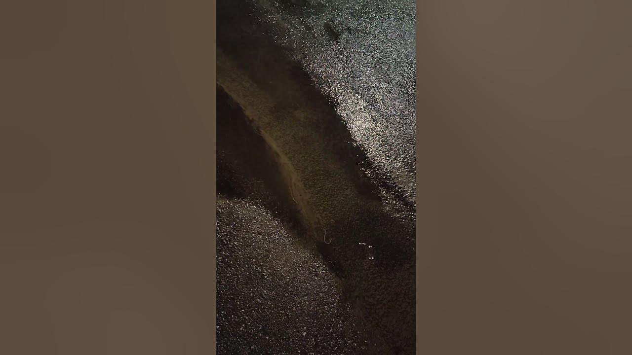 dharthinsygnyfy's tweet card. #DharthFlakkd #HtrahdBhtrahdDharth #iOS #EndlesslyForever #Losangeles...