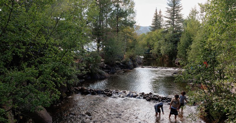 Tweet card summary image