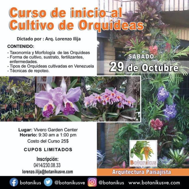 avaacccs's tweet card. CURSO DE INICIO AL CULTIVO DE ORQUÍDEAS taxonomía, morfología, tipos, métodos, repoteo Dictado por el Arquitecto Lorenzo Ilija
