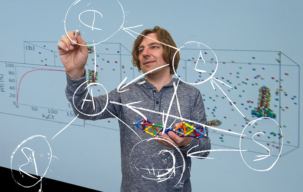 BrookhavenLab's tweet card. CFN theorist Alexei Tkachenko discusses his work on DNA-assisted self-assembled systems and modeling COVID-19 infection trends.