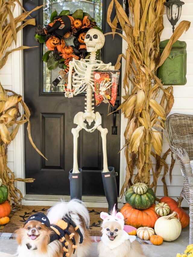 motabhaai's tweet card. you still have time to whip up a few of our very favorite outdoor Halloween DIYs and get your fall porch into tip-top shape! Halloween is a holiday that embraces all things scary. Favorite DIY decor.