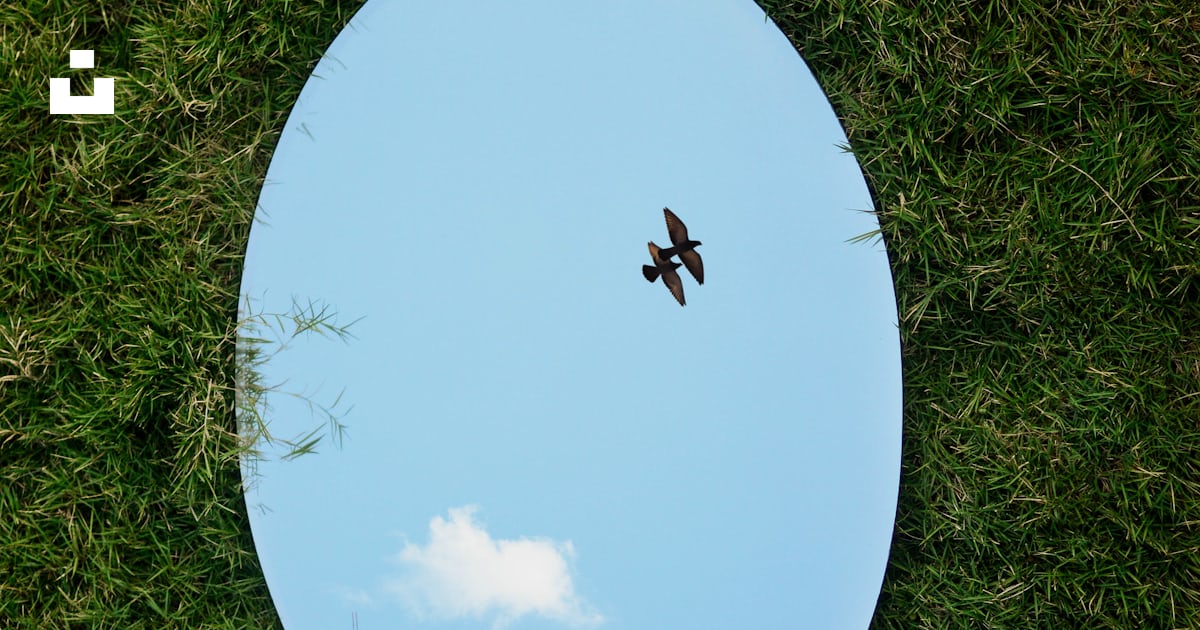 deletec1's tweet card. this photo was taken for a photography competition (amateur) with a theme ‘Reflection’. – Jovis Aloorが撮影したこの写真をUnsplashでダウンロードする