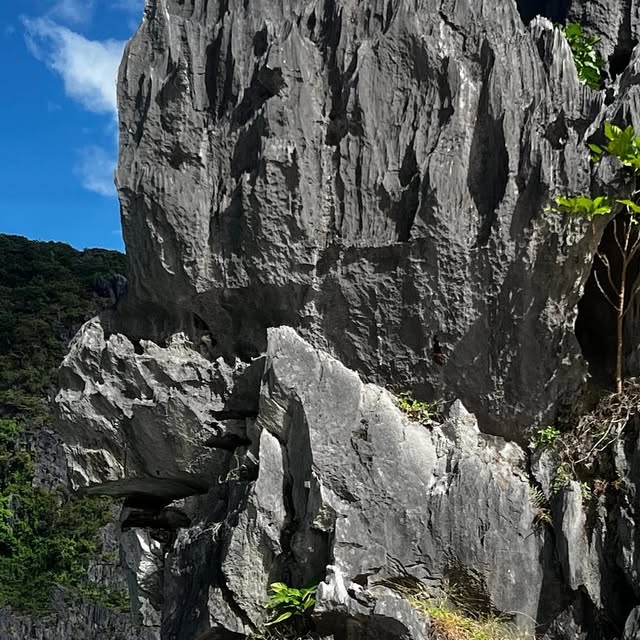 CameronMathison's tweet card. Cameron Mathison (@cameronmathison) • Instagram photos and videos