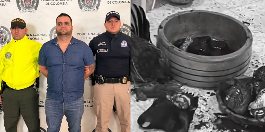 DIDASKALOSW's tweet card. El intenso debate judicial y político en Colombia gira en torno a la protección de garantías fundamentales y la legitimidad de los procesos internacionales