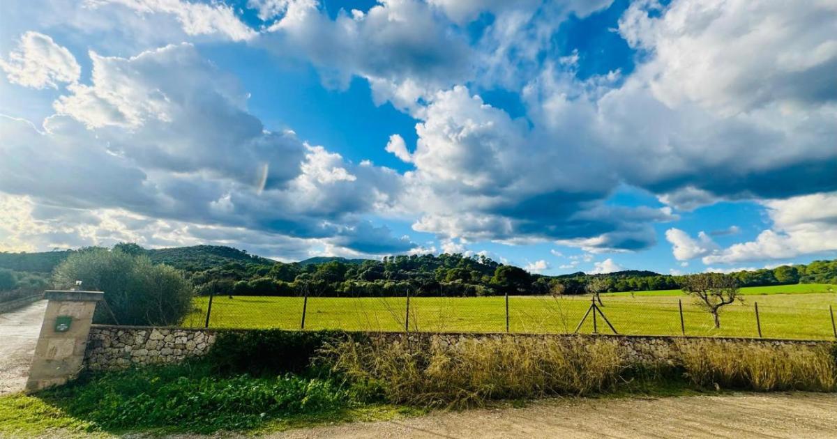 dbalears's tweet card. . L'Associació per un Nou Acord per al Cable d'Alcúdia (Anaca) ha advertit sobre l'existència...