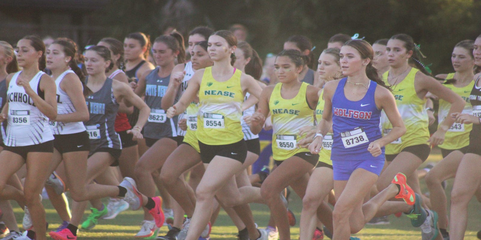 CFreemanJAX's tweet card. Five Northeast Florida teams won state championships at the FHSAA high school cross country meet in Tallahassee.