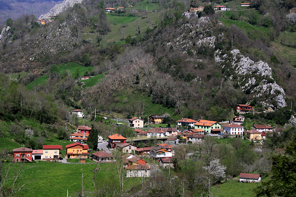 coperibadesella's tweet card. La Consejería de Movilidad, Medio Ambiente y Gestión de Emergencias ha adjudicado en 126.703 euros la mejora de la red de saneamiento de Sellañu, en Ponga, a la empresa Citanias Obras y Servicios...