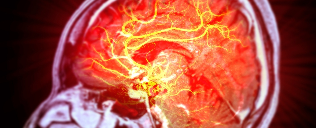 java_ninja's tweet card. Repairing the unrepairable.