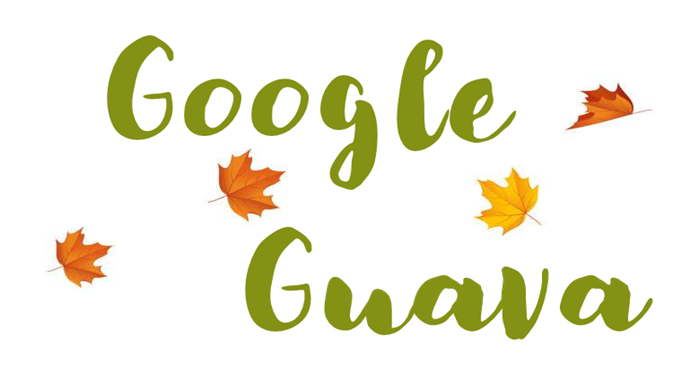 blackslate's tweet card. Bloom Filter in Java using Google Guava. Bloom Filter is an probabilistic data structure which checks the presence of an element.