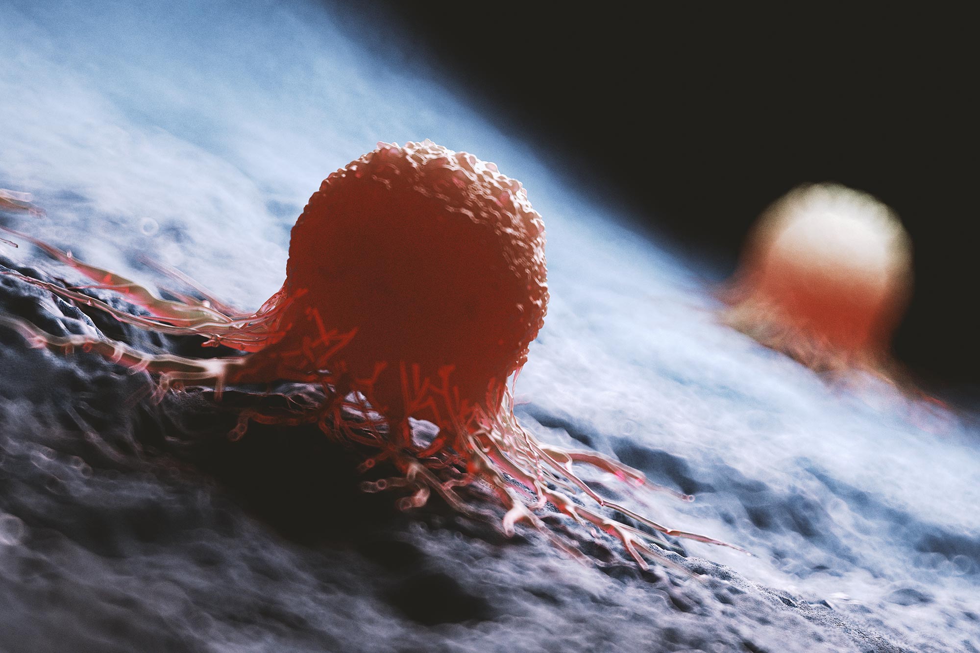 SignalStartup's tweet card. A slow drug-release system has proven highly effective in treating certain bladder cancer patients whose tumors were previously unresponsive to therapy. A new targeted drug delivery system known as...