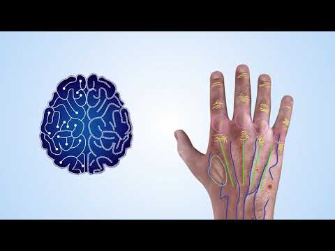 HUniqueProject's tweet card. Will you help us to identify child abusers by images of their hands?